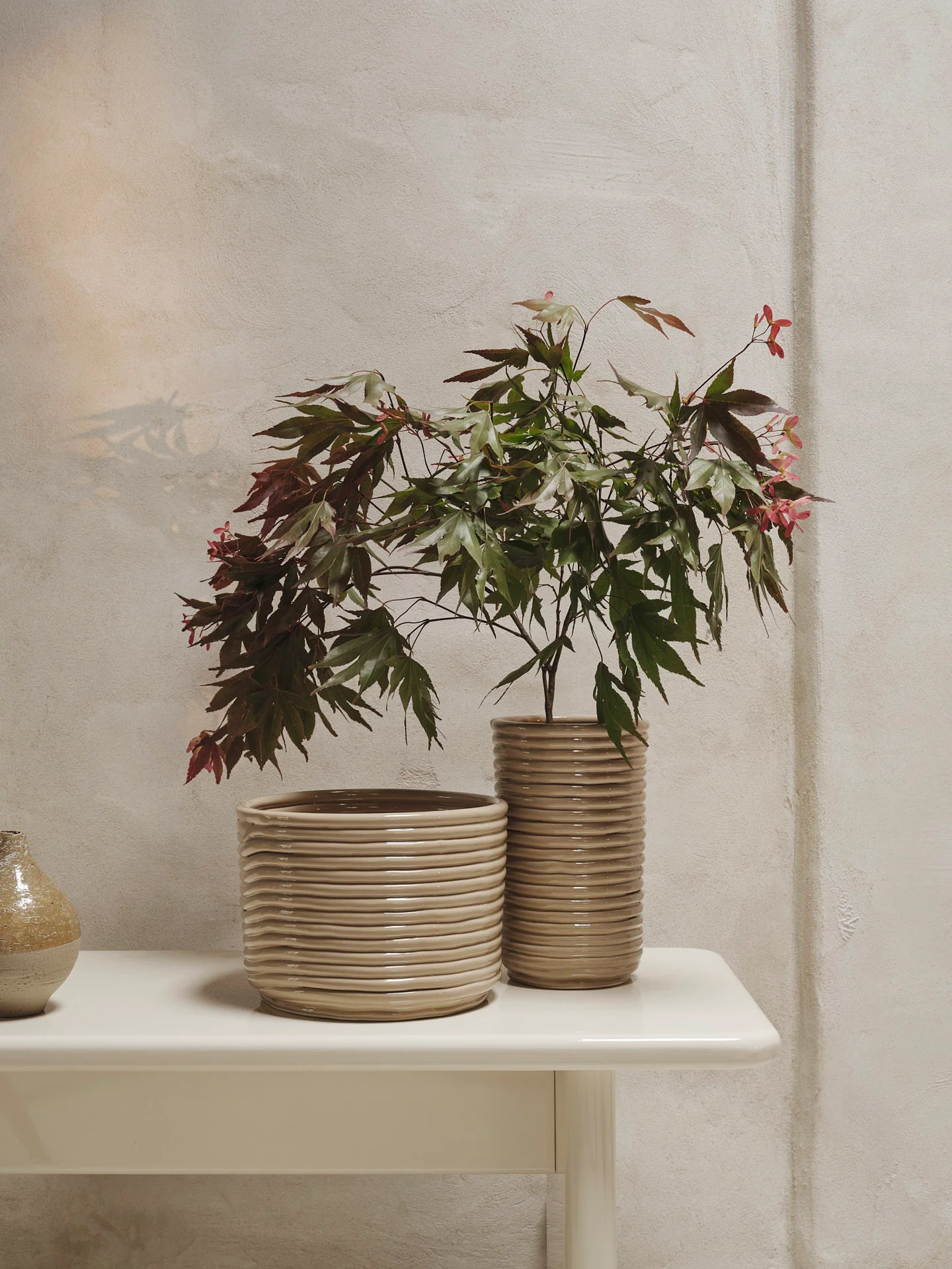 Corduroy Vase - Cashmere - Image 2