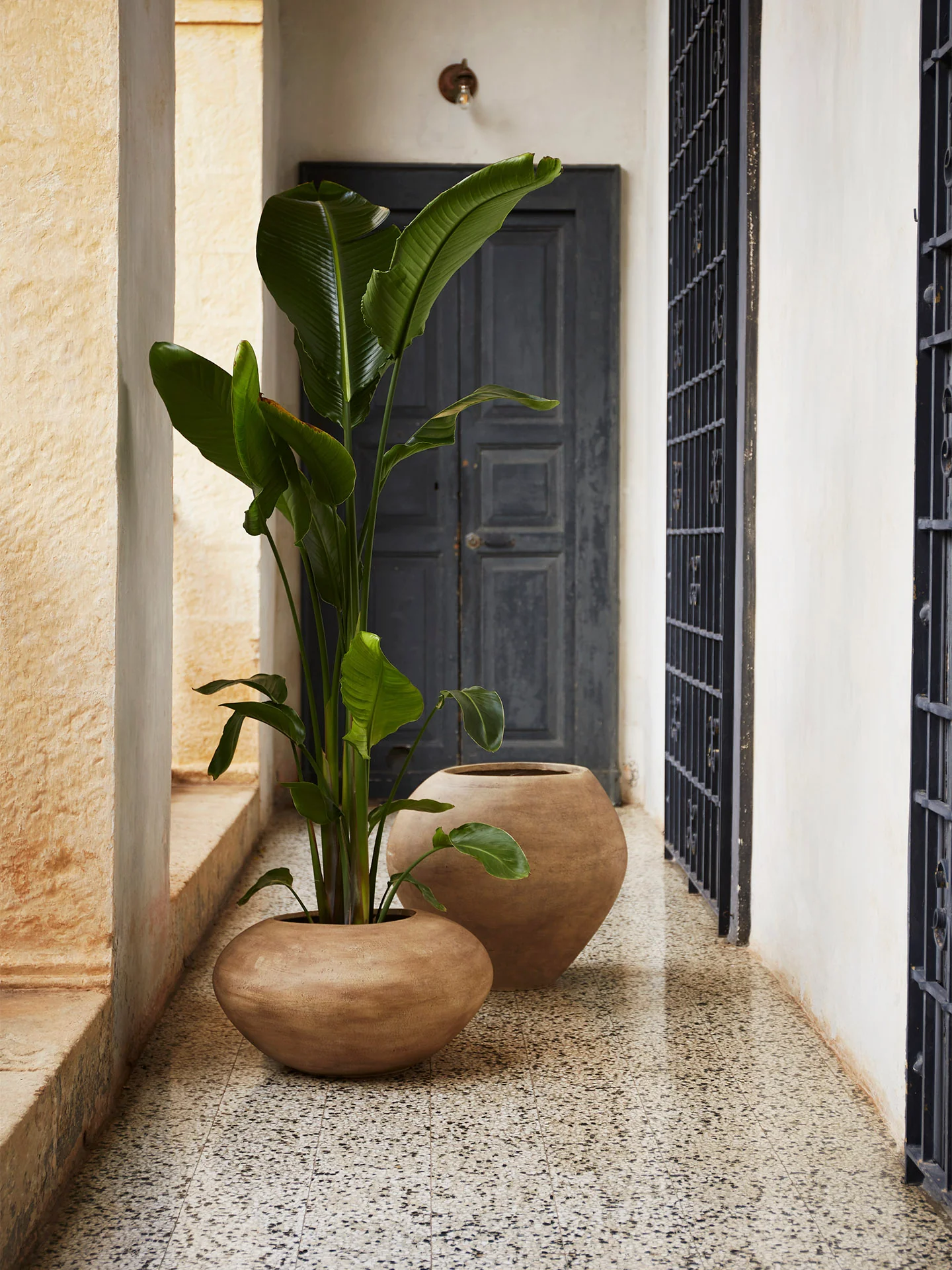 Dodu Pot - Tall - Brown - Image 2