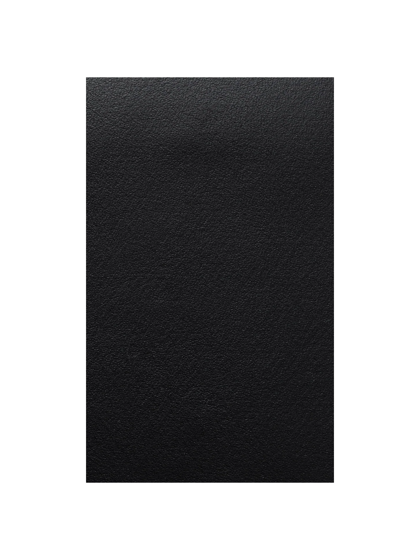 Fabric Sample - Leather - Envy - Black