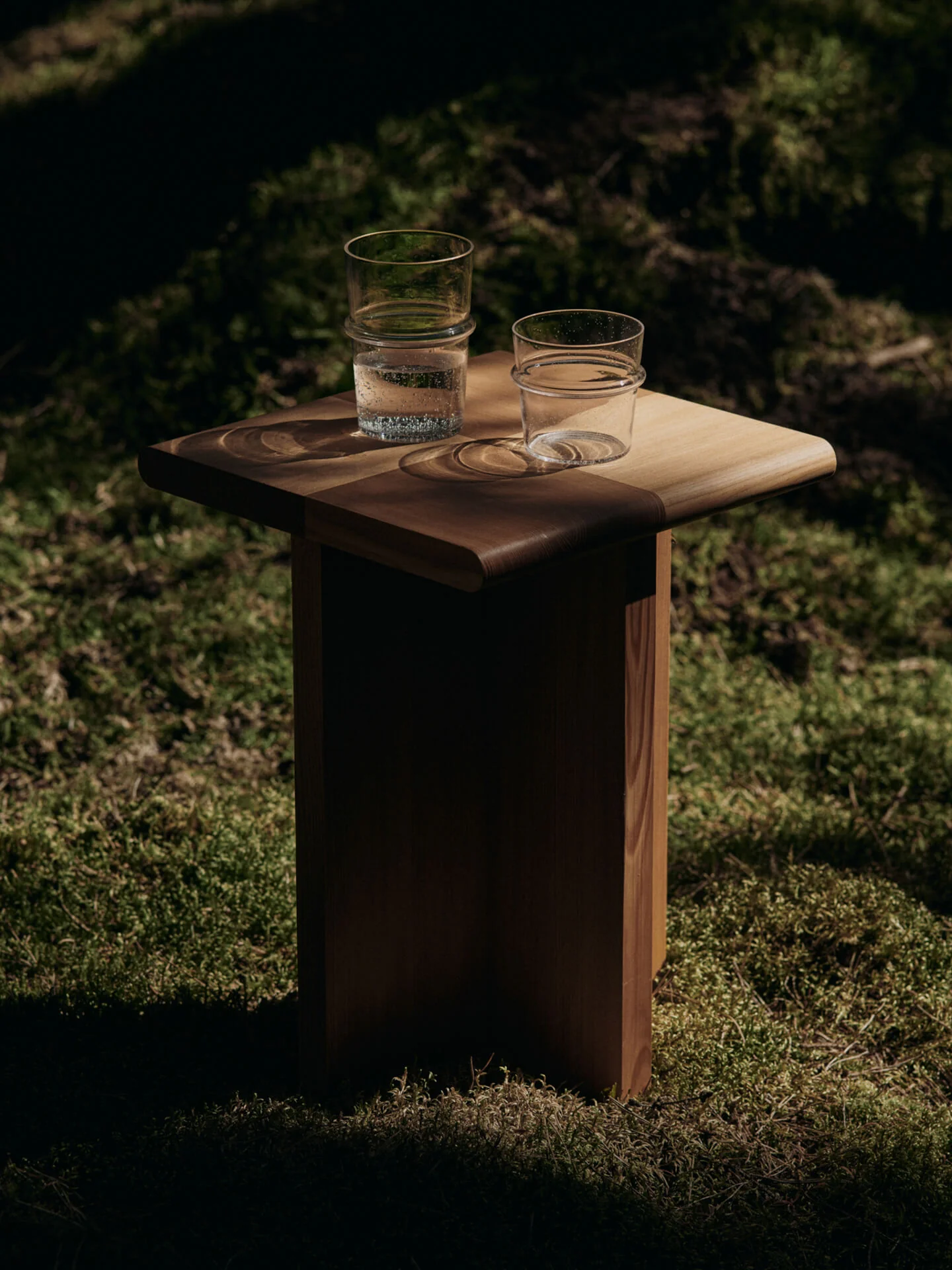 Sala Piece - Douglas Fir - Image 4
